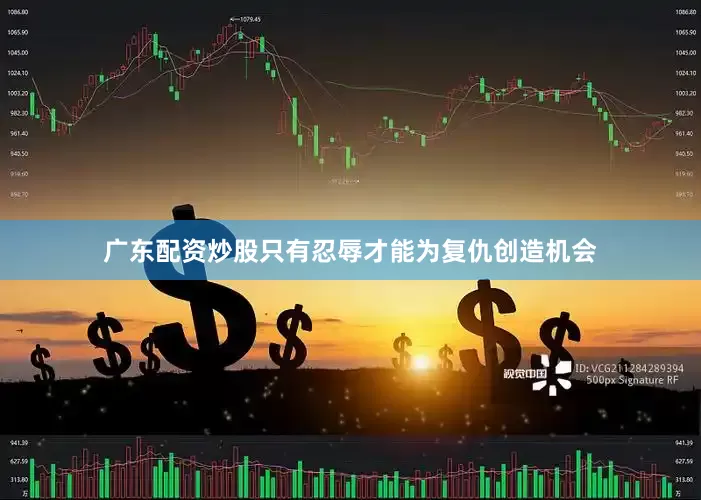 广东配资炒股只有忍辱才能为复仇创造机会